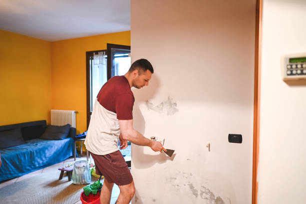 Mold Removal Process in Valparaiso, IN